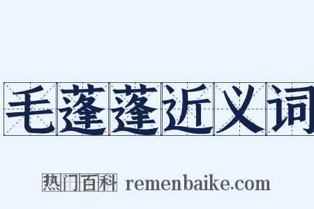 毛蓬蓬近义词是什么意思的图片